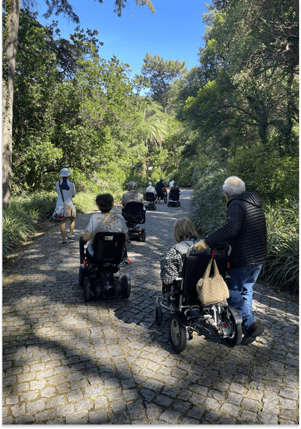 Group of elderly people in wheelchairs outdoors on a sunny path.