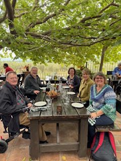 Group enjoying a meal outdoors under lush green trees.
